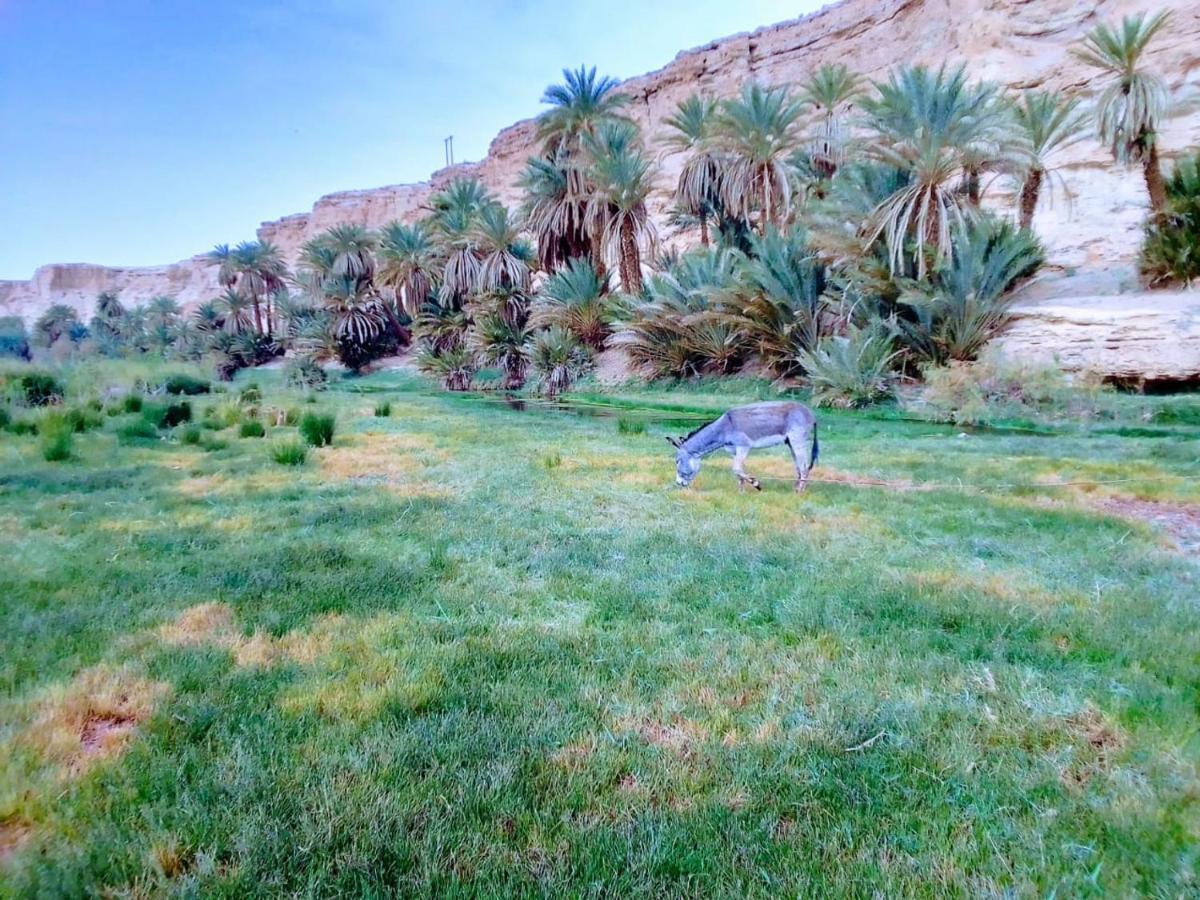Amoudou Lodge Camp Tissint Luaran gambar