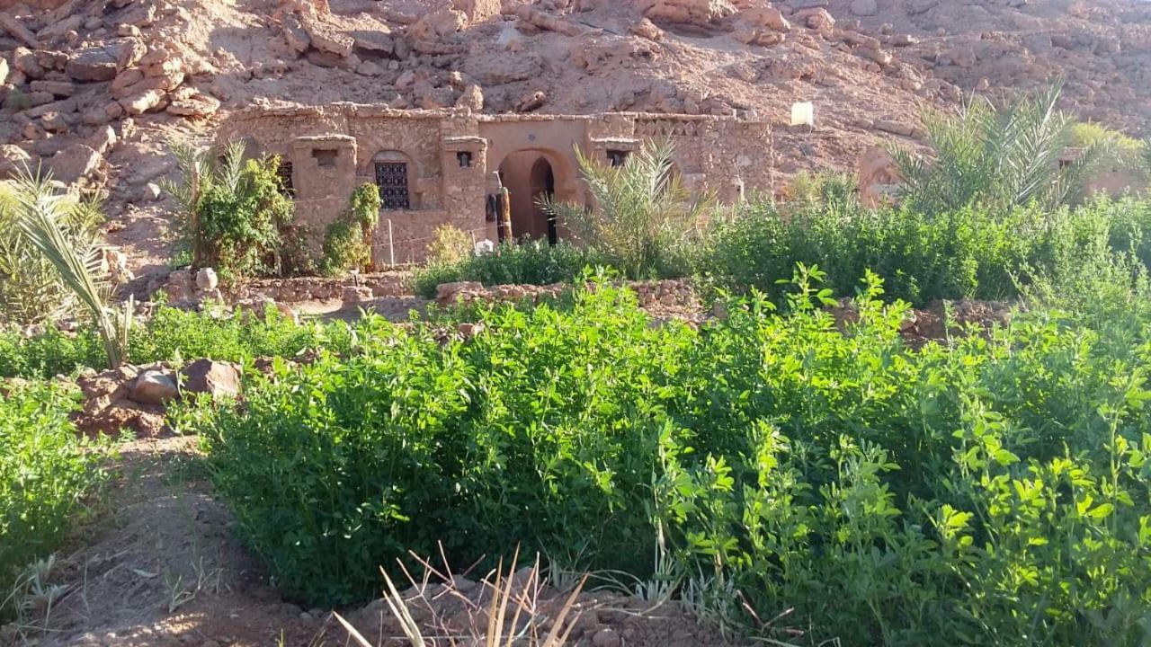 Amoudou Lodge Camp Tissint Luaran gambar