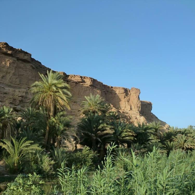 Amoudou Lodge Camp Tissint Luaran gambar